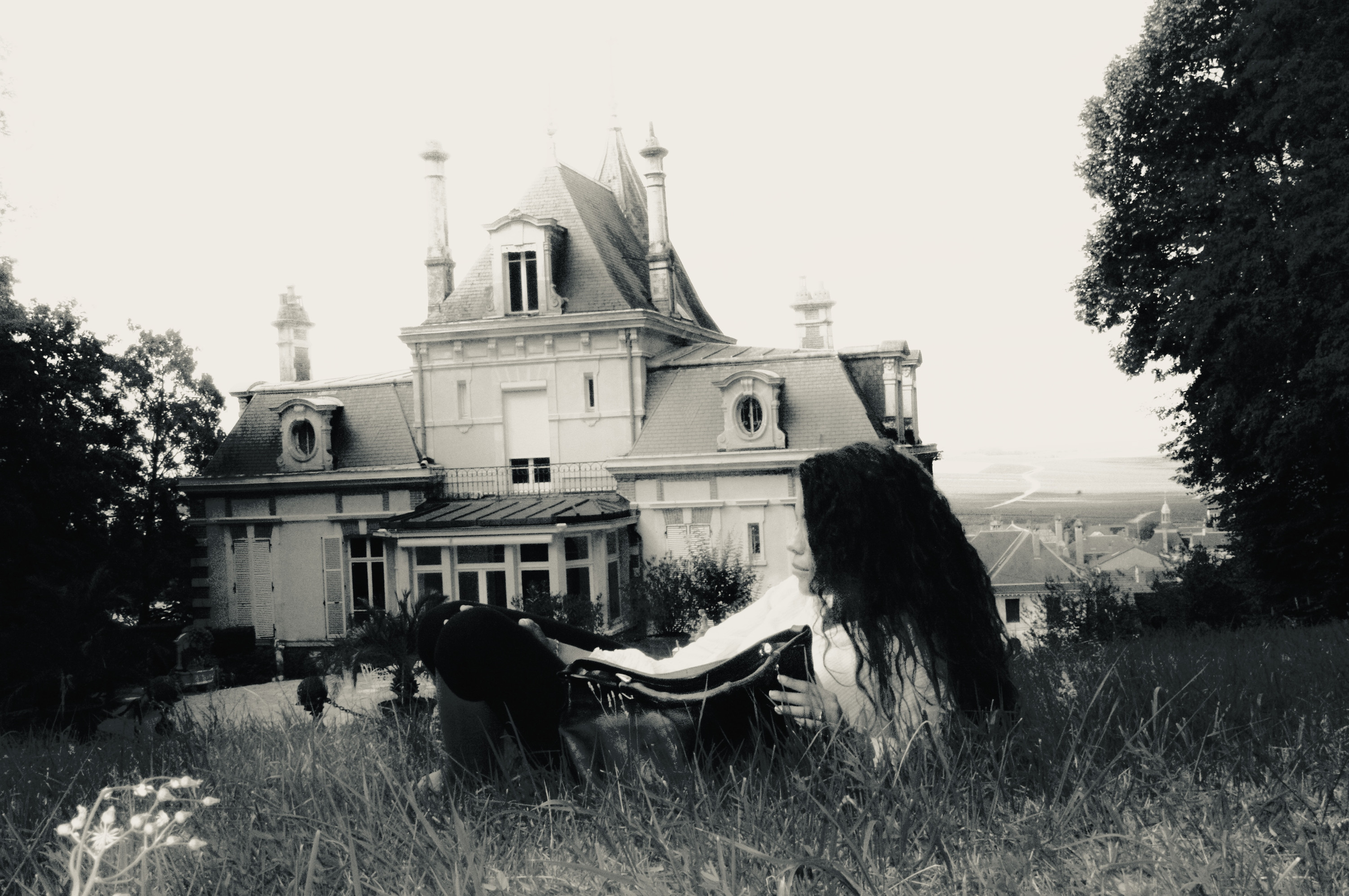 Camerone lying on the lawn in front of the residence, Reims