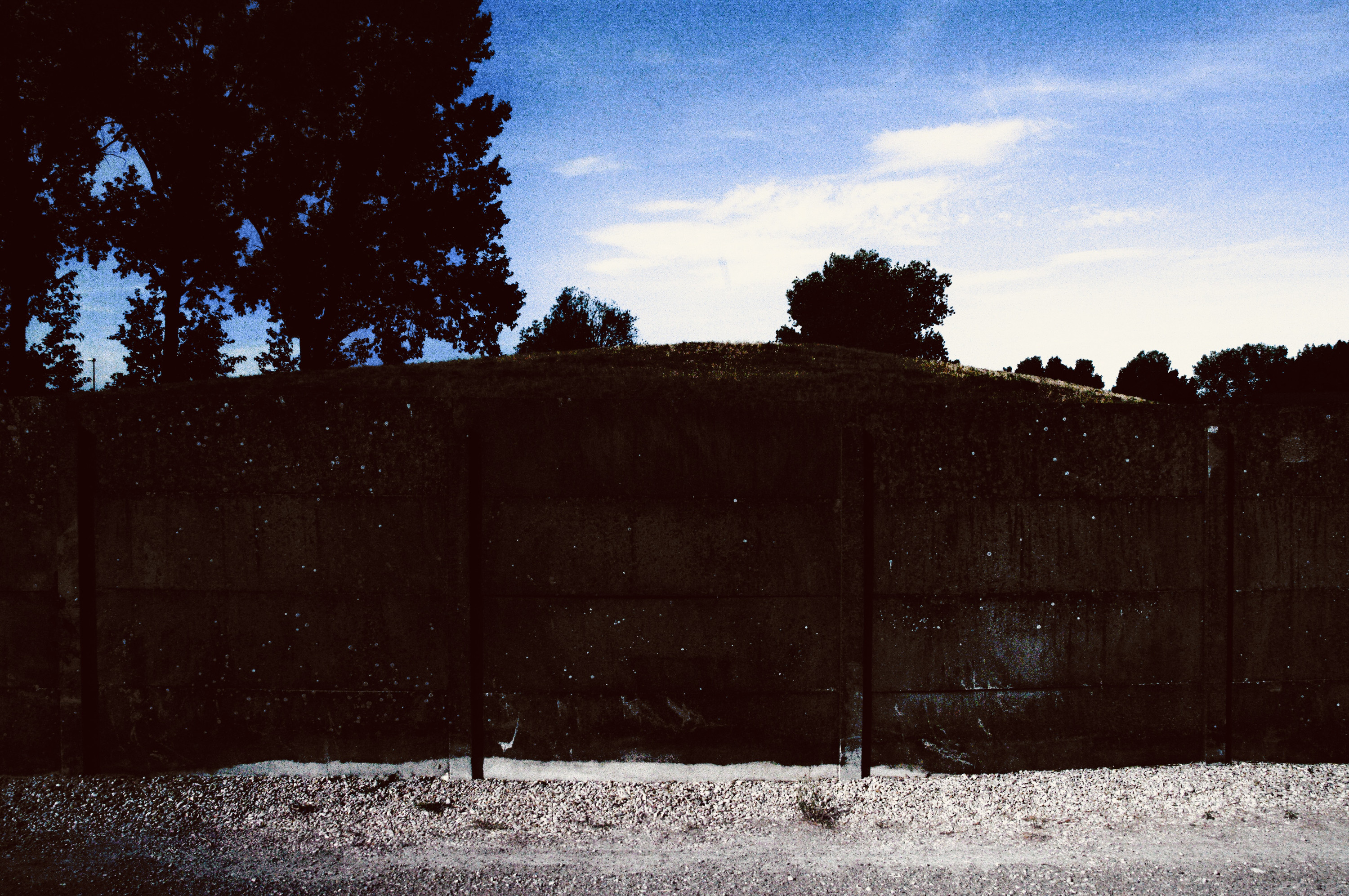 Wall and trees under a blue sky