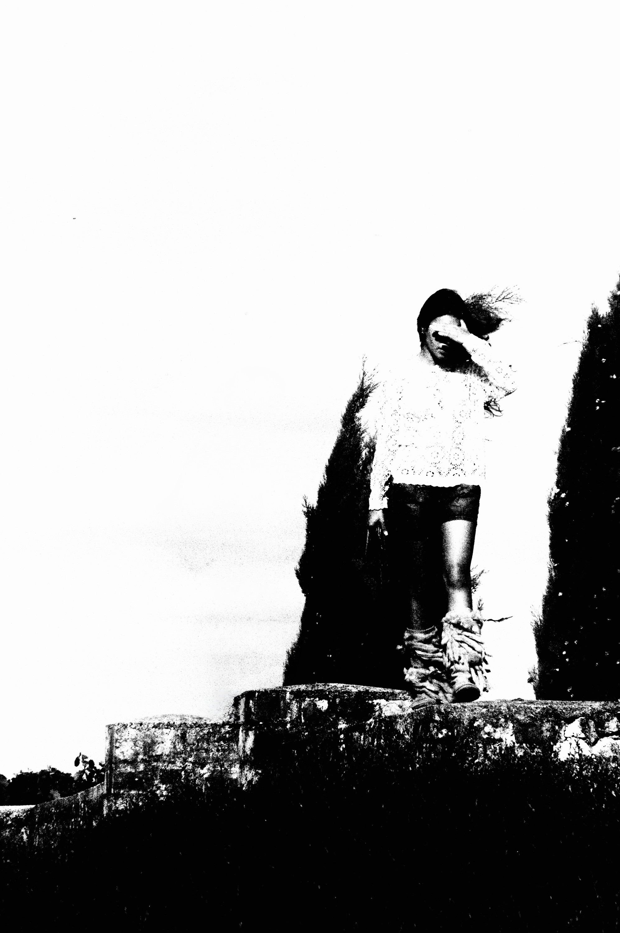 Camerone, silhouette by the hedge