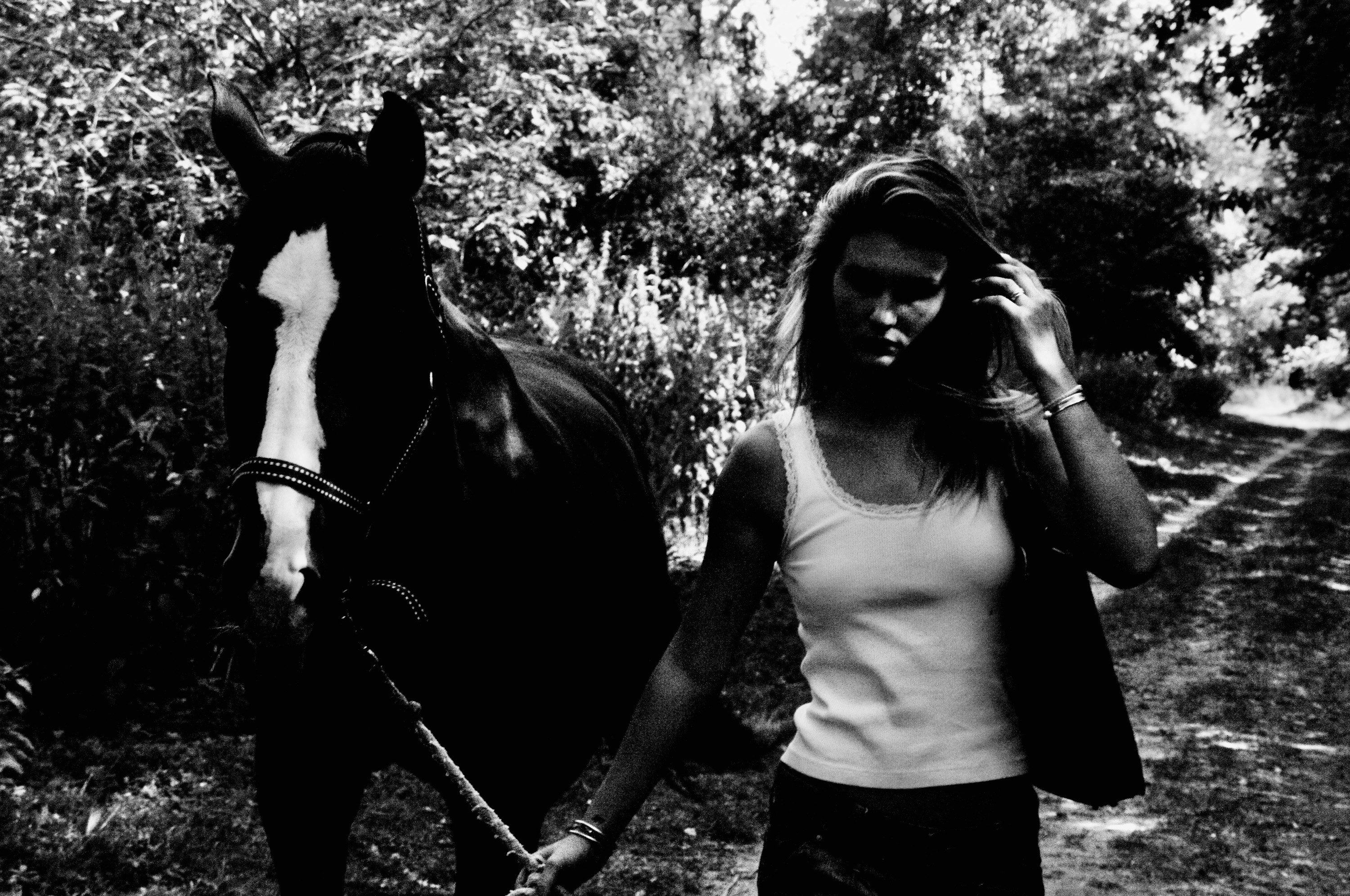Walking a horse under the trees