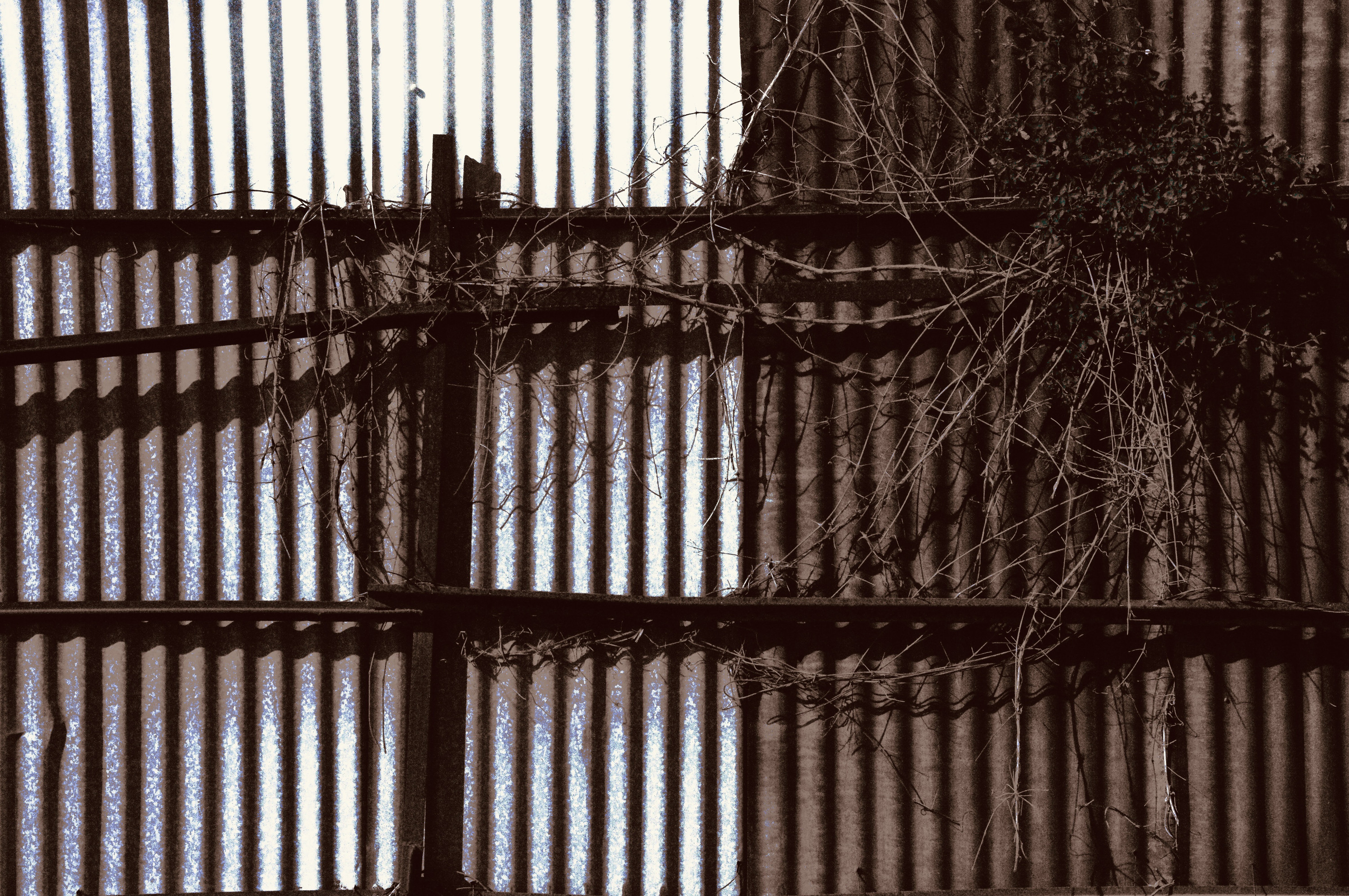 Corrugated gate and dry branches