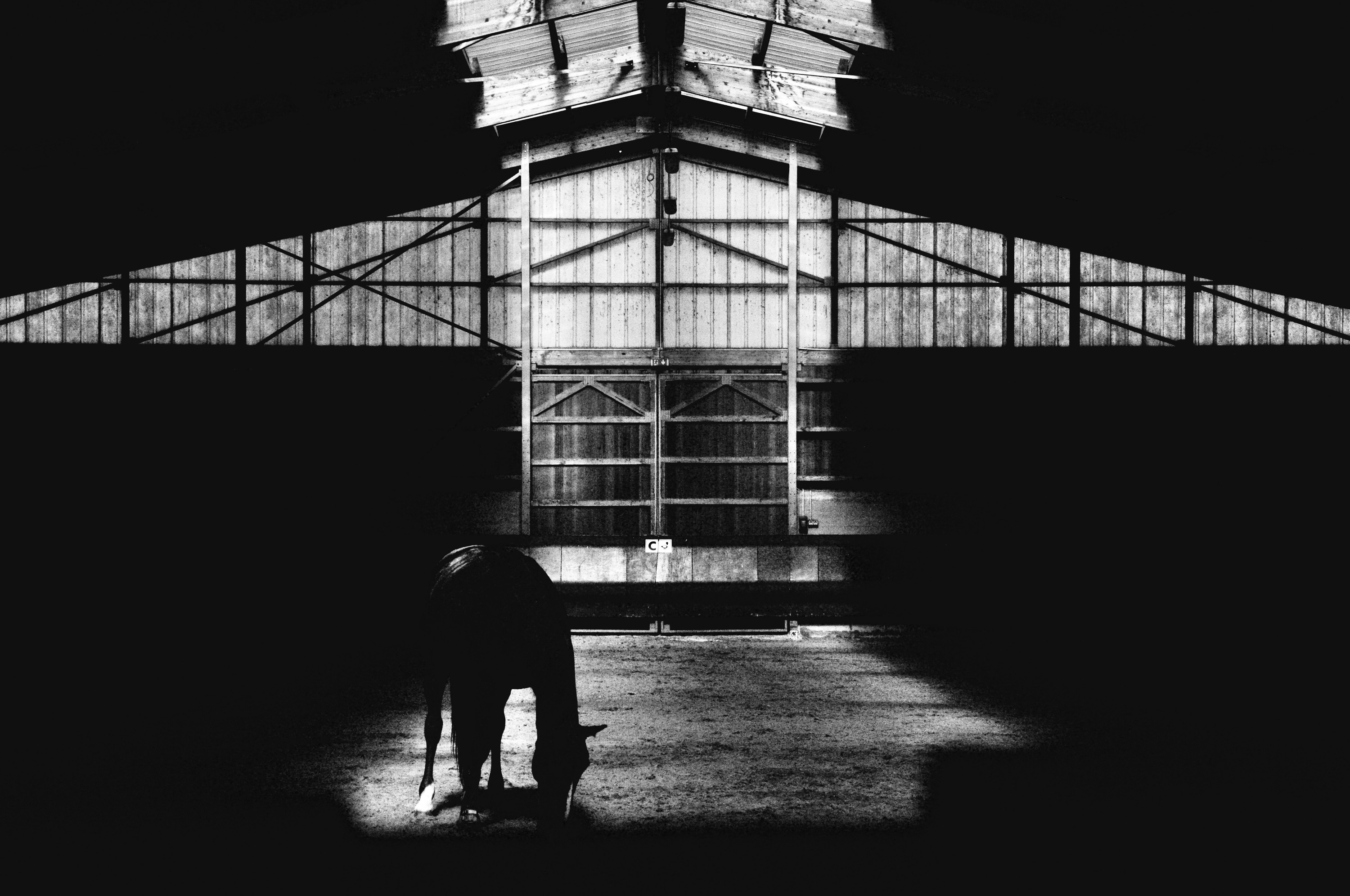 Glasshouse, backlit