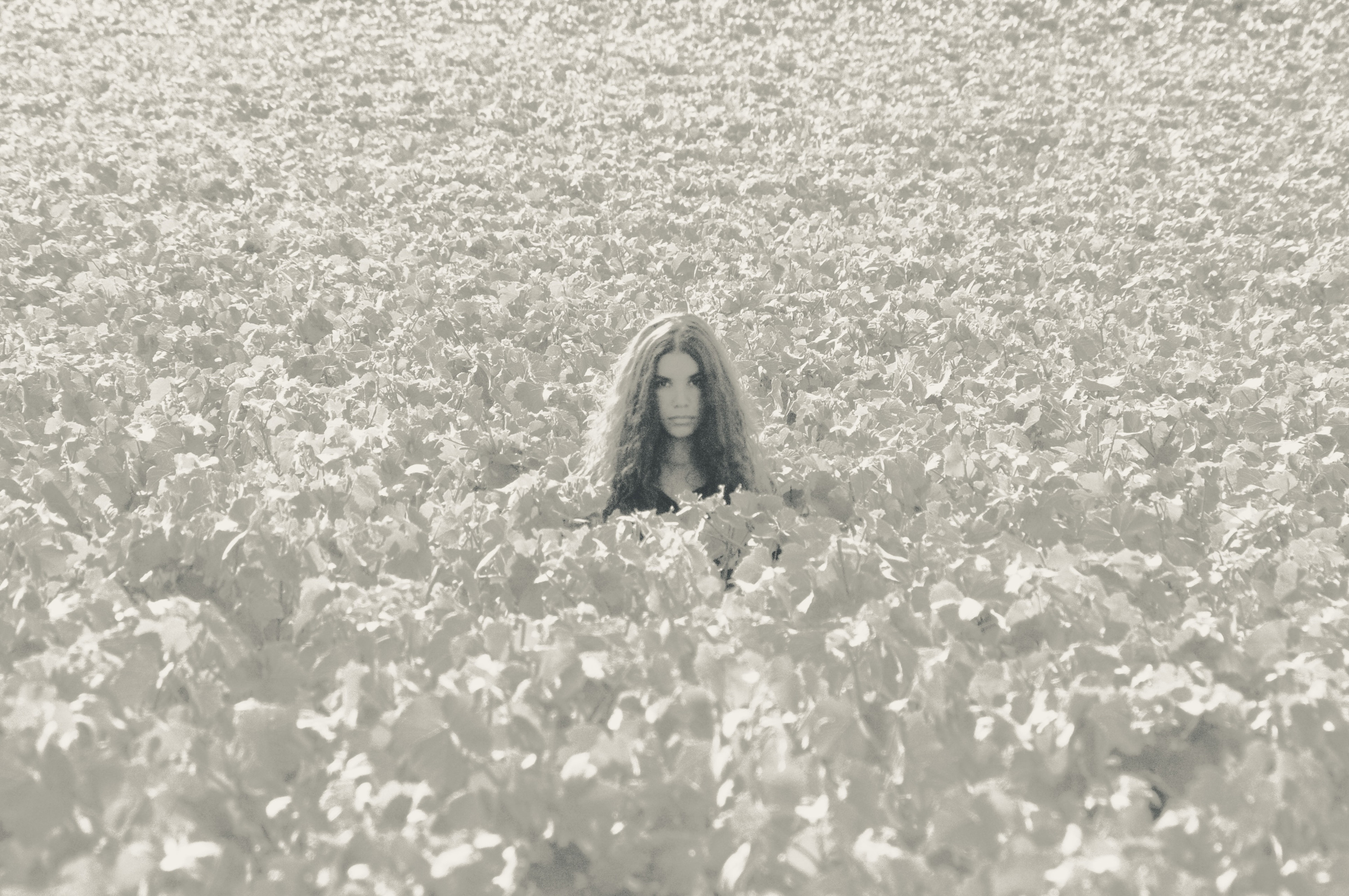 In the flower field, overexposed