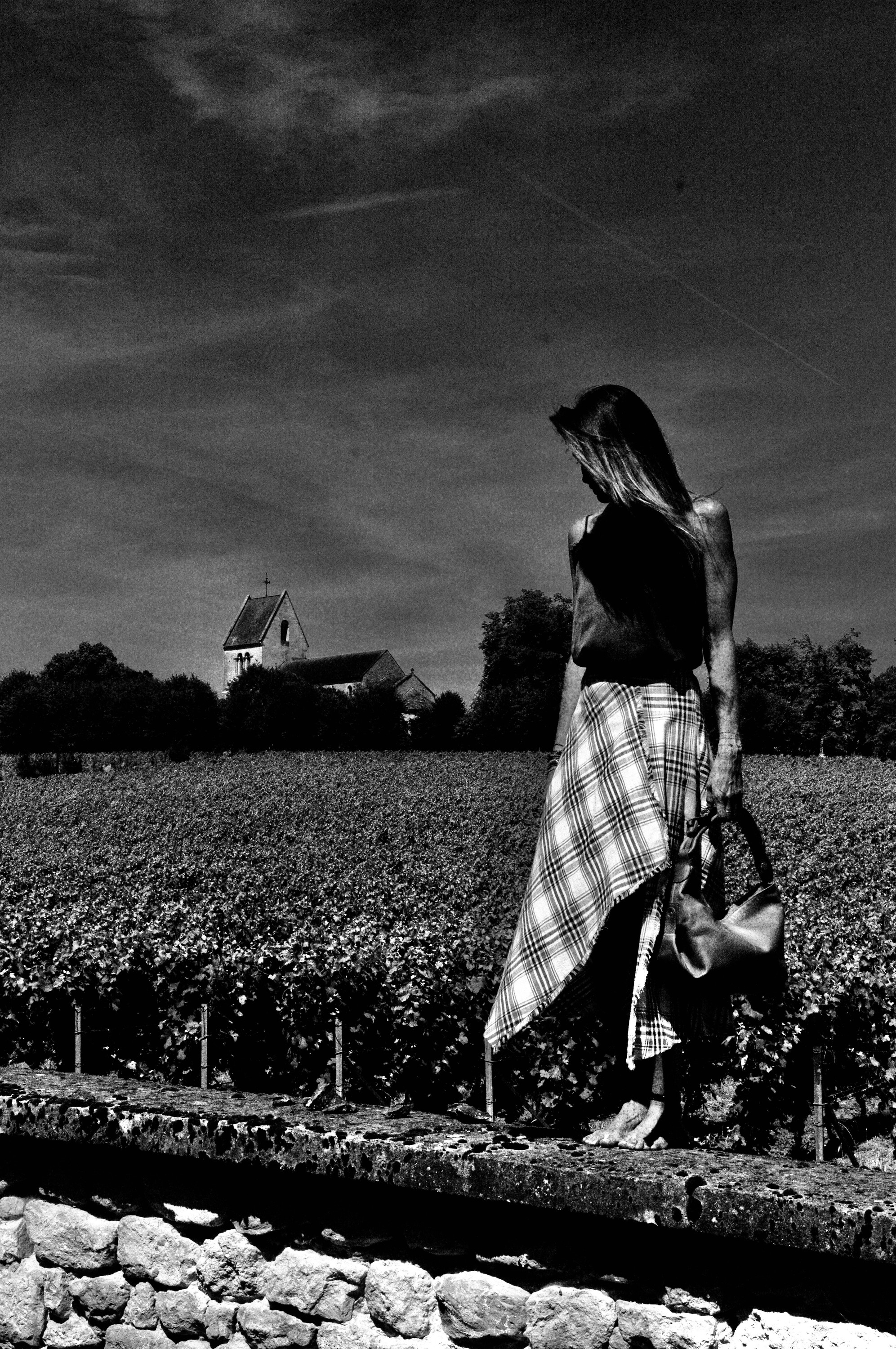 Walking through the vineyard