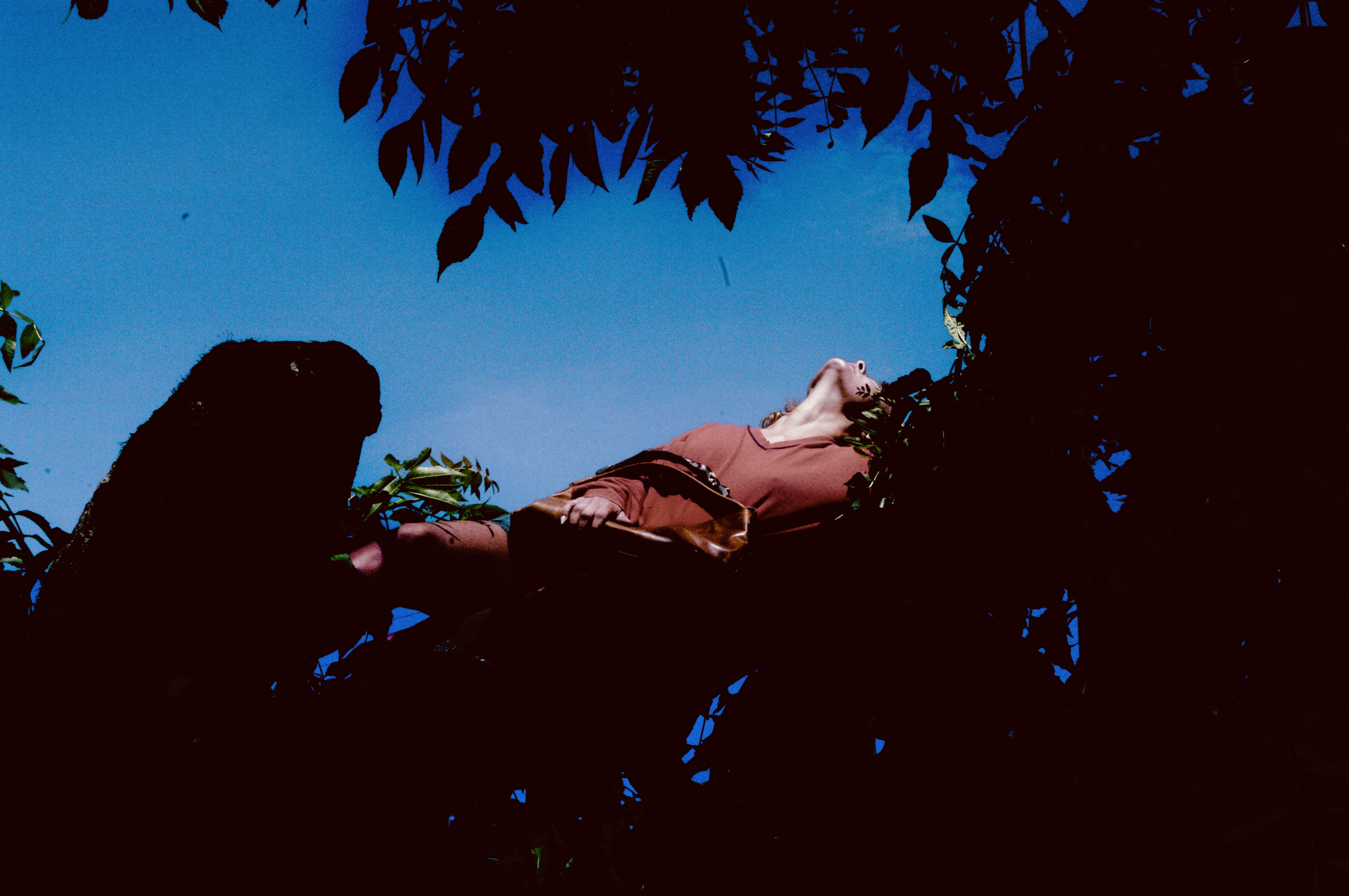 Lying under the trees, deep blue sky