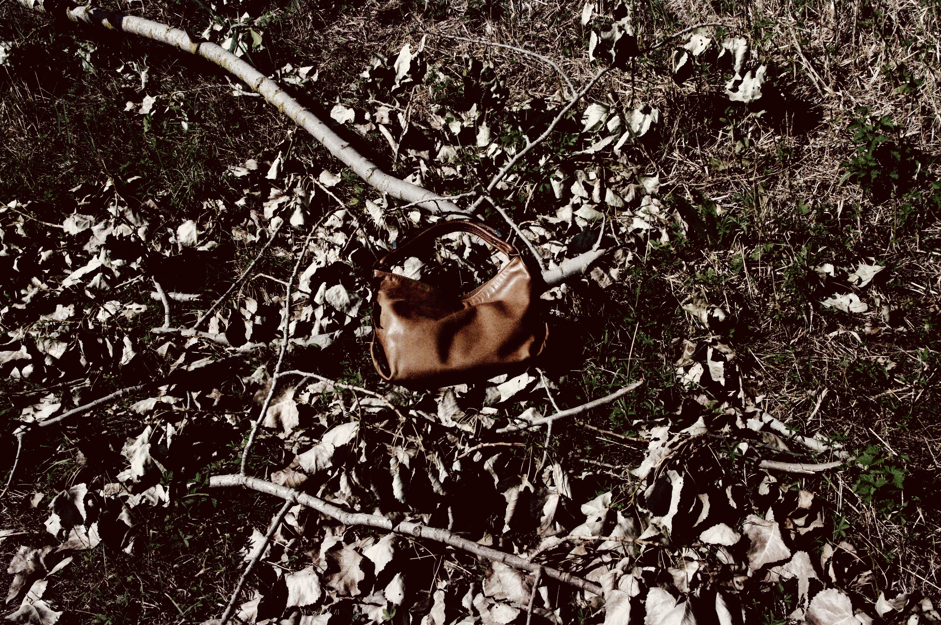 Brown bag among dead leaves and branches