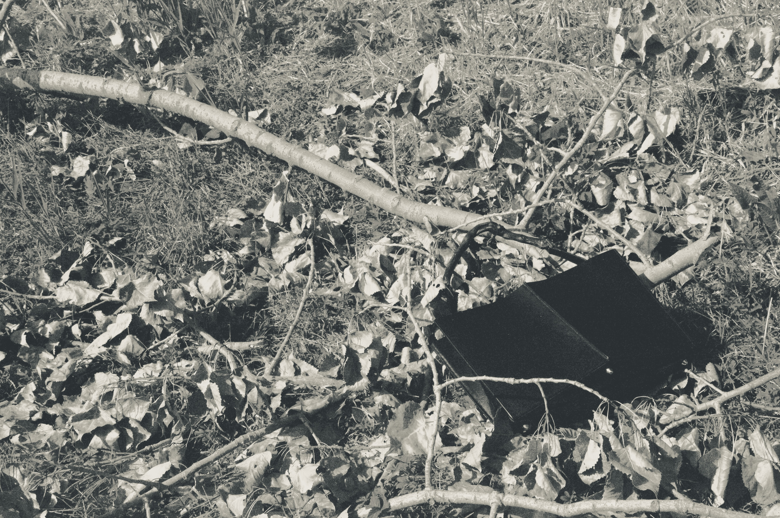 Black bag among dead leaves and branches
